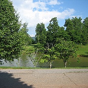 Picture 009